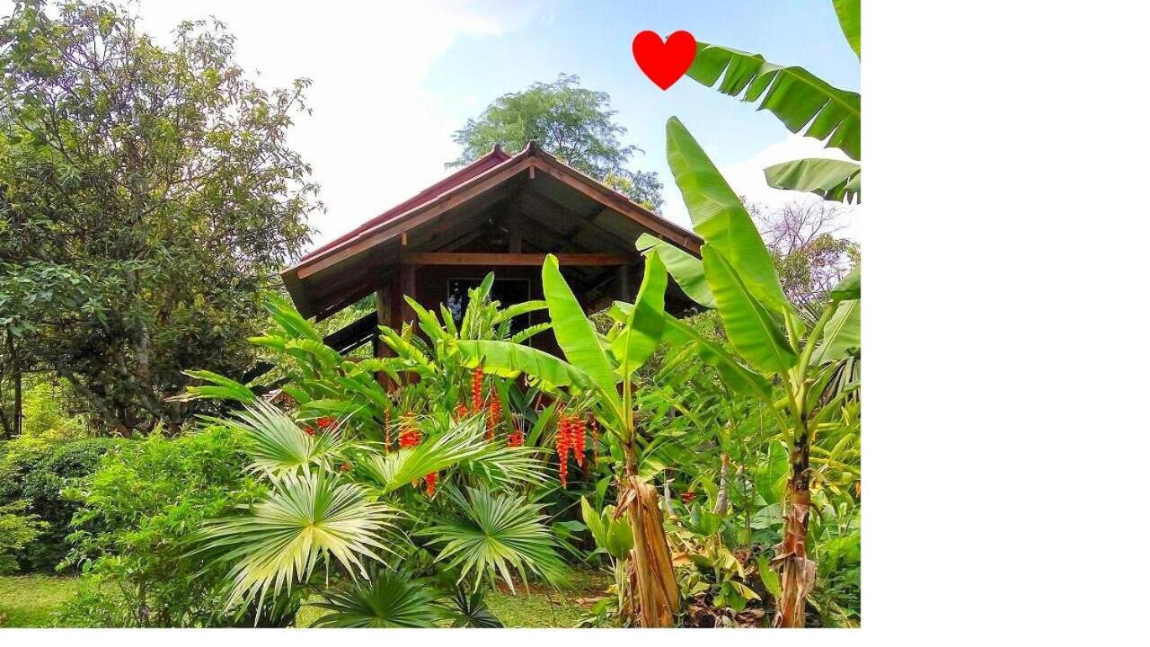 Pencave Homestay Pang Mapha Exterior photo