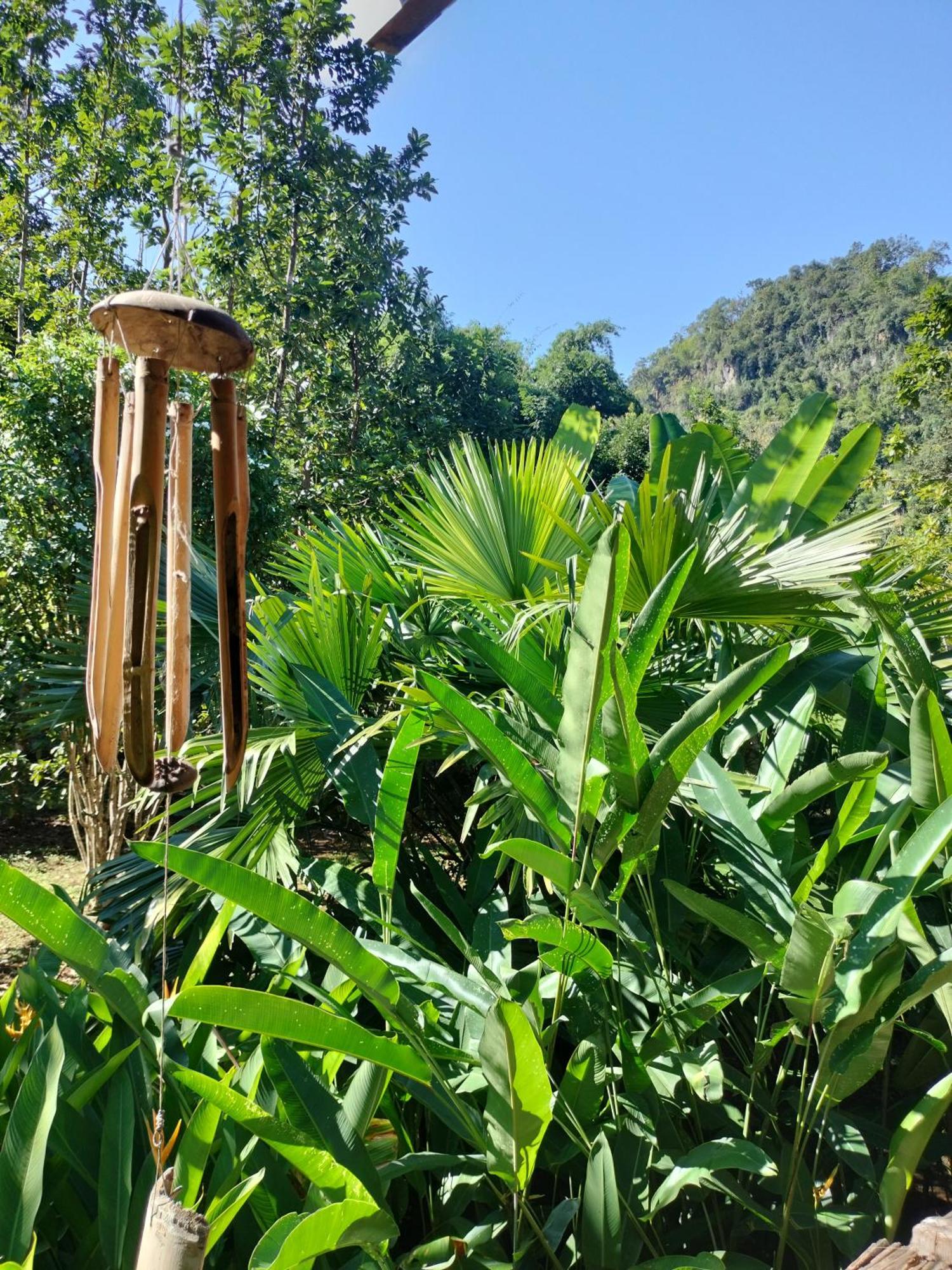 Pencave Homestay Pang Mapha Room photo
